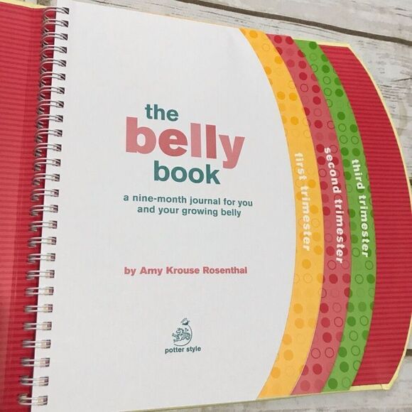 The Belly Book A Nine‎ Month Pregnancy Journal - Picture 4 of 11